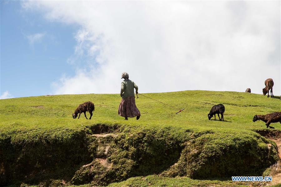 ETHIOPIA-SOUTHERN REGIONAL STATE-PRIMITIVE TRIBE-DORZE