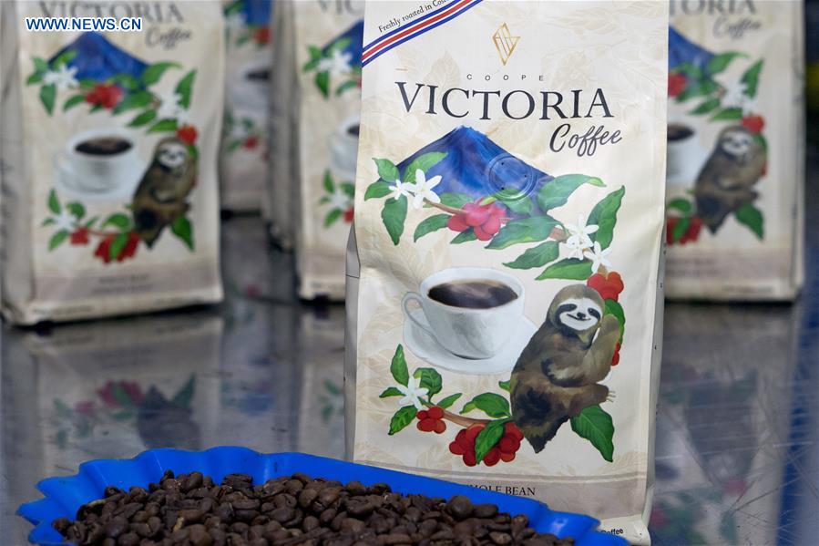 COSTA RICA-GRECIA-COFFEE EXPORT-CHINA