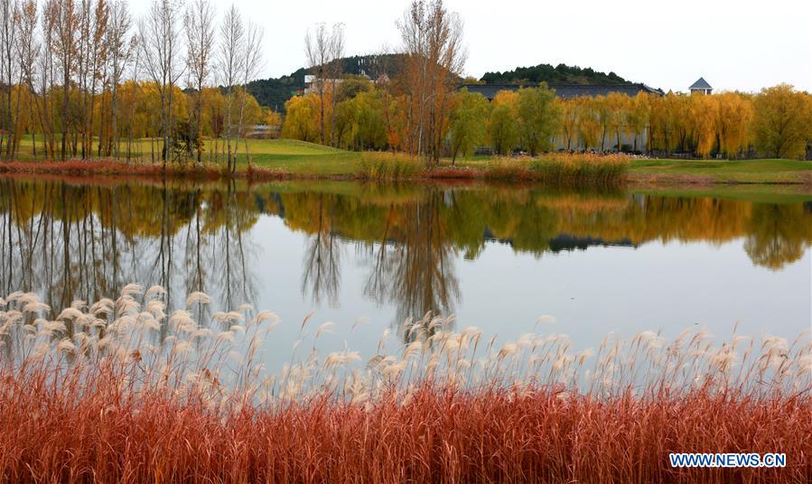 #CHINA-BEIJING-YANQI LAKE-SCENERY(CN)