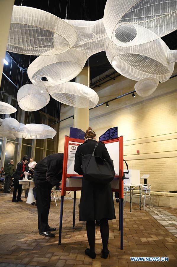 U.S.-ARLINGTON-MIDTERM ELECTIONS 