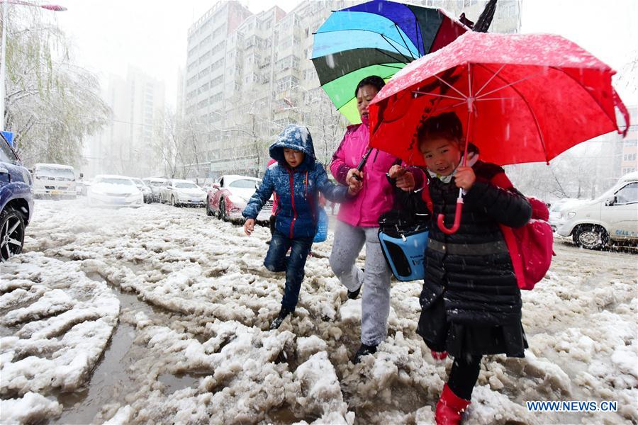 #CHINA-HEILONGJIANG-SNOWSTORM (CN)