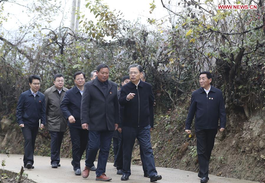 CHINA-HENAN-ZHAO LEJI-INSPECTION (CN)