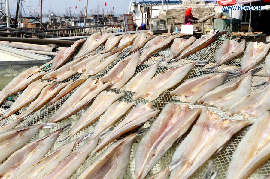 #CHINA-JIANGSU-LIANYUNGANG-FISHING (CN)
