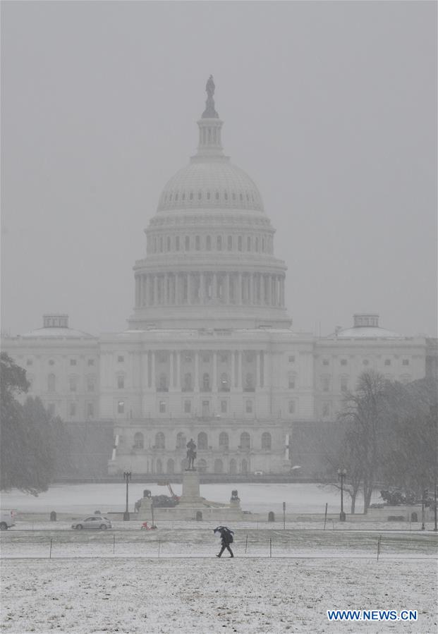 U.S.-WASHINGTON D.C.-SNOW