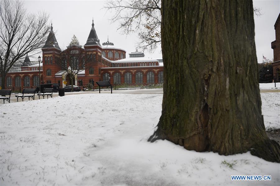 U.S.-WASHINGTON D.C.-SNOW