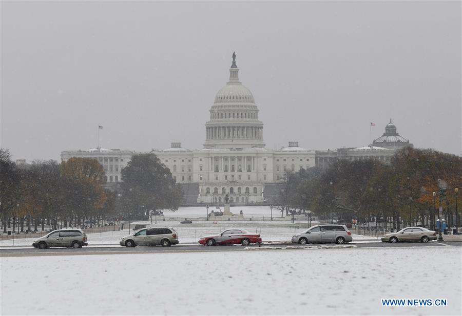U.S.-WASHINGTON D.C.-SNOW