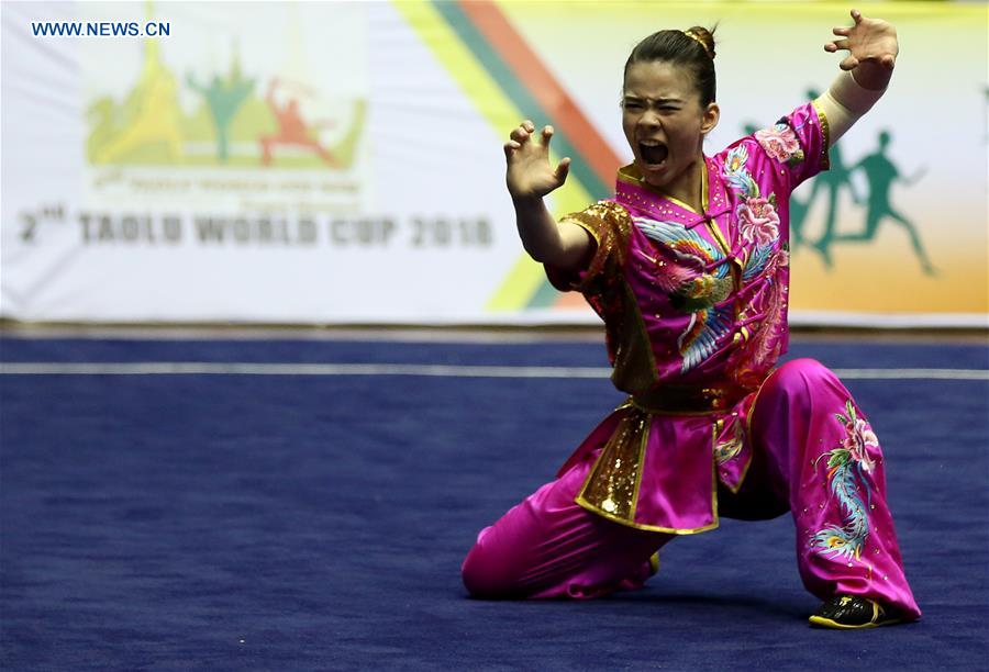 (SP)MYANMAR-YANGON-2ND TAOLU WORLD CUP 2018
