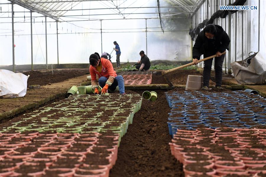 #CHINA-WINTER-FARM WORK (CN)