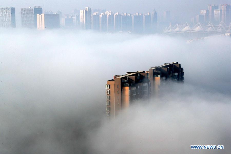 Heavy fog envelops cities across China Xinhua English.news.cn