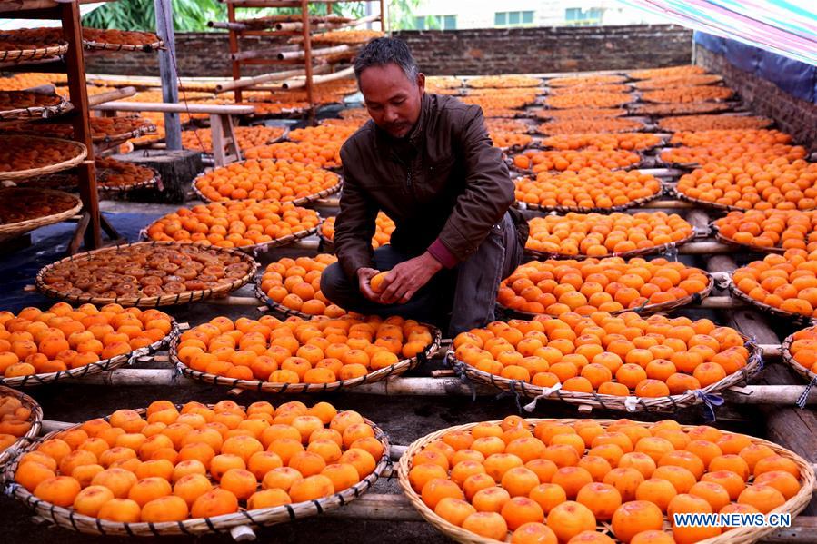 #CHINA-GUANGXI-PINGLE-PERSIMMON HARVEST (CN)