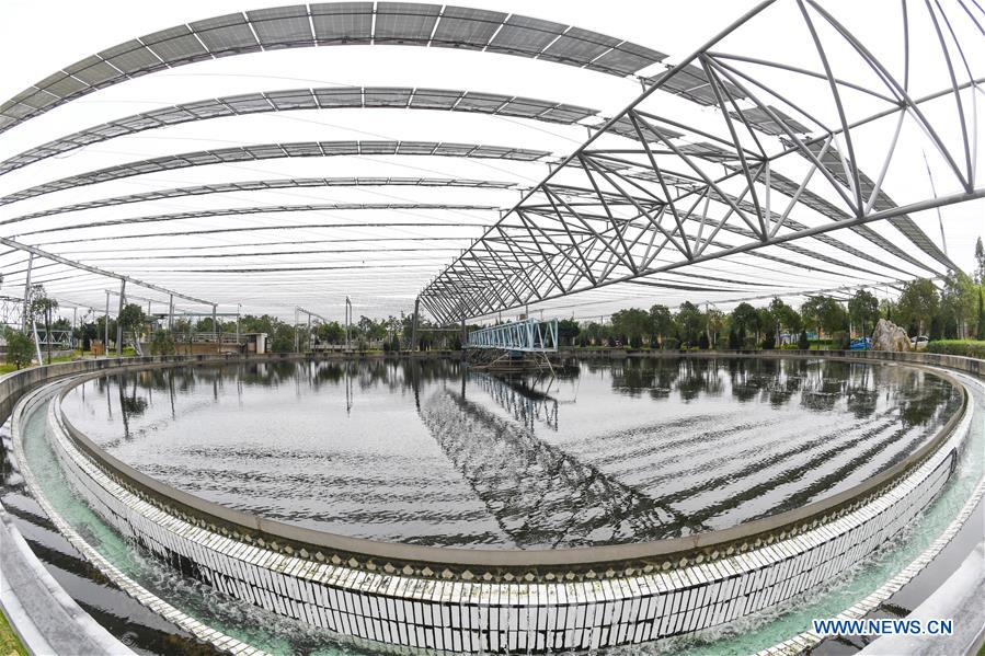 CHINA-FUJIAN-SHISHI-PHOTOVOLTAIC POWER STATION (CN)