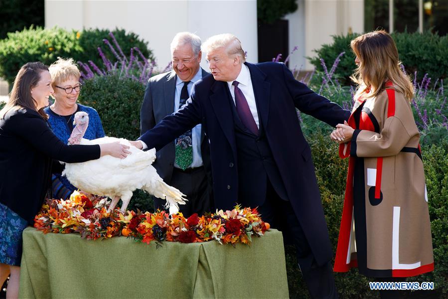 U.S.-WASHINGTON D.C.-TRUMP-THANKSGIVING TURKEY PARDONING CEREMONY