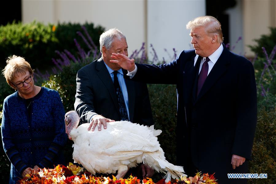 U.S.-WASHINGTON D.C.-TRUMP-THANKSGIVING TURKEY PARDONING CEREMONY
