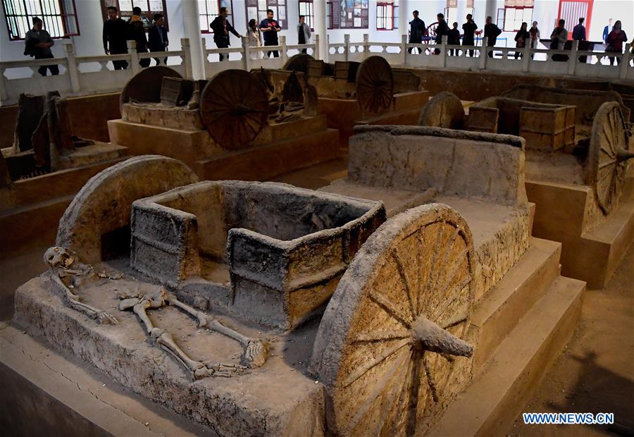 Xinhua Headlines: A world-shocking find that shapes China's past, origin