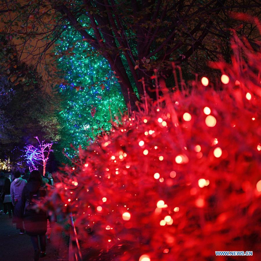 U.S.-WASHINGTON D.C.-ZOOLIGHTS 