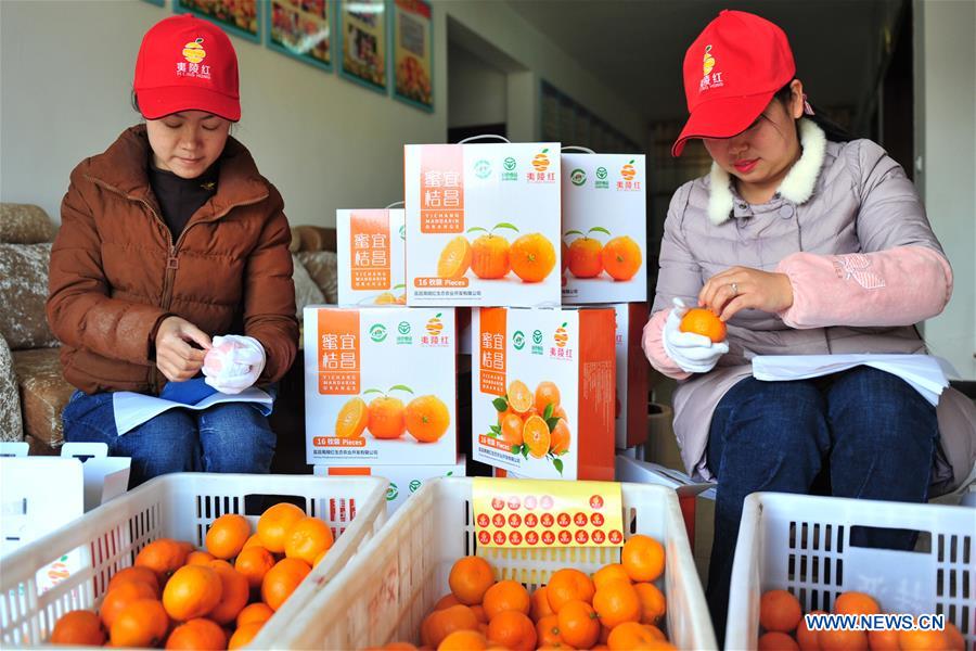 #CHINA-HUBEI-CITRUS EXPORT (CN)