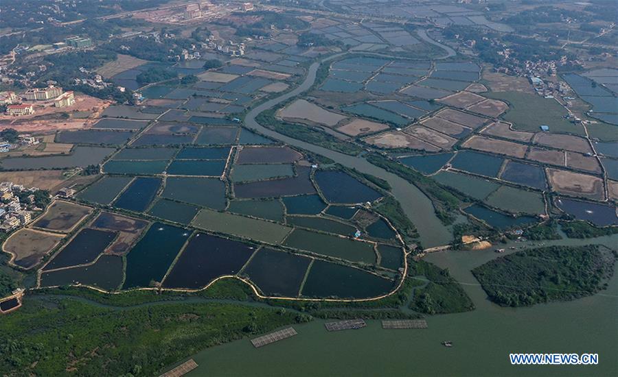 CHINA-GUANGXI-QINZHOU-PONDS(CN)