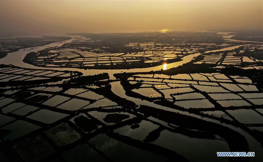 CHINA-GUANGXI-QINZHOU-PONDS(CN)