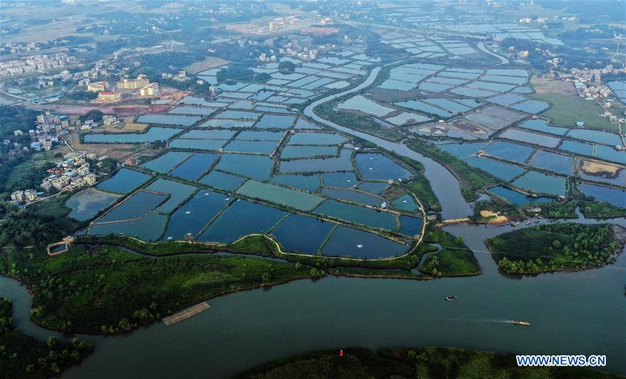 CHINA-GUANGXI-QINZHOU-PONDS(CN)