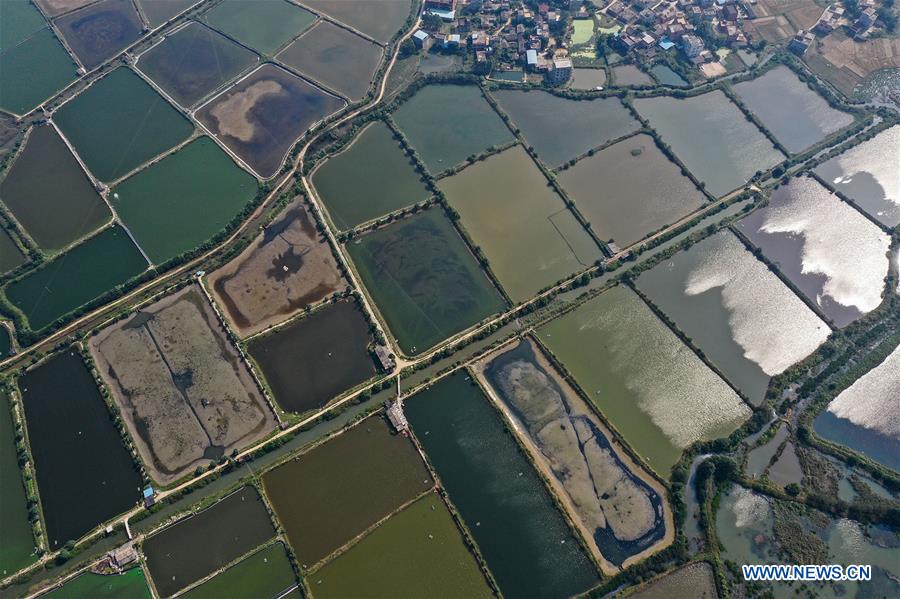 CHINA-GUANGXI-QINZHOU-PONDS(CN)