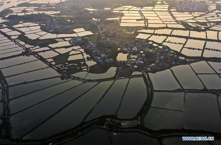 CHINA-GUANGXI-QINZHOU-PONDS(CN)