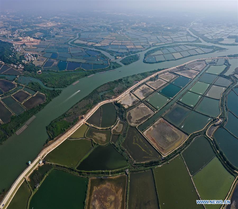 CHINA-GUANGXI-QINZHOU-PONDS(CN)