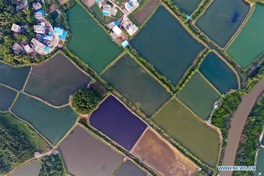 CHINA-GUANGXI-QINZHOU-PONDS(CN)