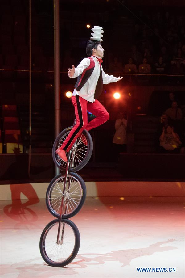 Circus Unicycle