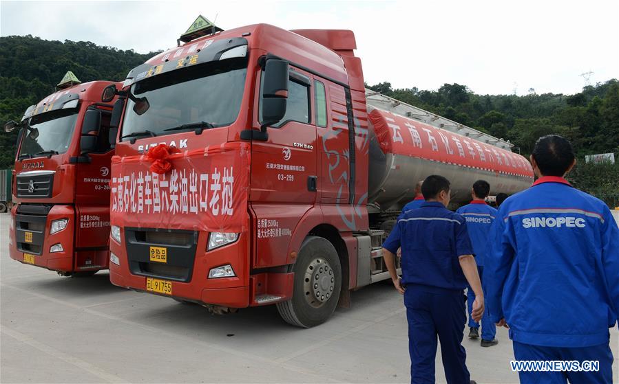 CHINA-ECONOMY-PETROLEUM AND CHEMICAL INDUSTRY-PROFIT (CN)