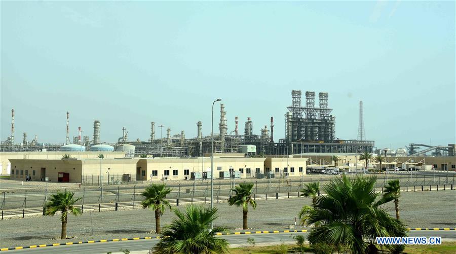 CHINA-ECONOMY-PETROLEUM AND CHEMICAL INDUSTRY-PROFIT (CN)