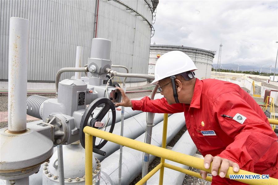 CHINA-ECONOMY-PETROLEUM AND CHEMICAL INDUSTRY-PROFIT (CN)