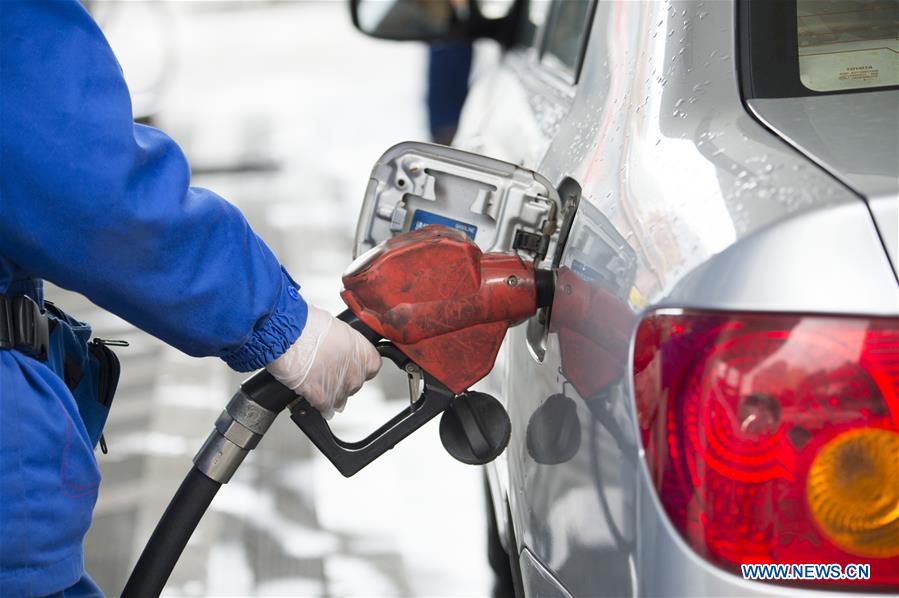 CHINA-ECONOMY-PETROLEUM AND CHEMICAL INDUSTRY-PROFIT (CN)