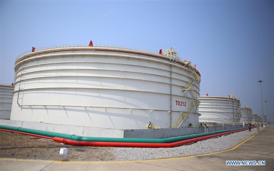 CHINA-ECONOMY-PETROLEUM AND CHEMICAL INDUSTRY-PROFIT (CN)