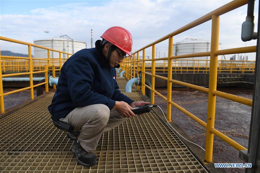 CHINA-ECONOMY-PETROLEUM AND CHEMICAL INDUSTRY-PROFIT (CN)