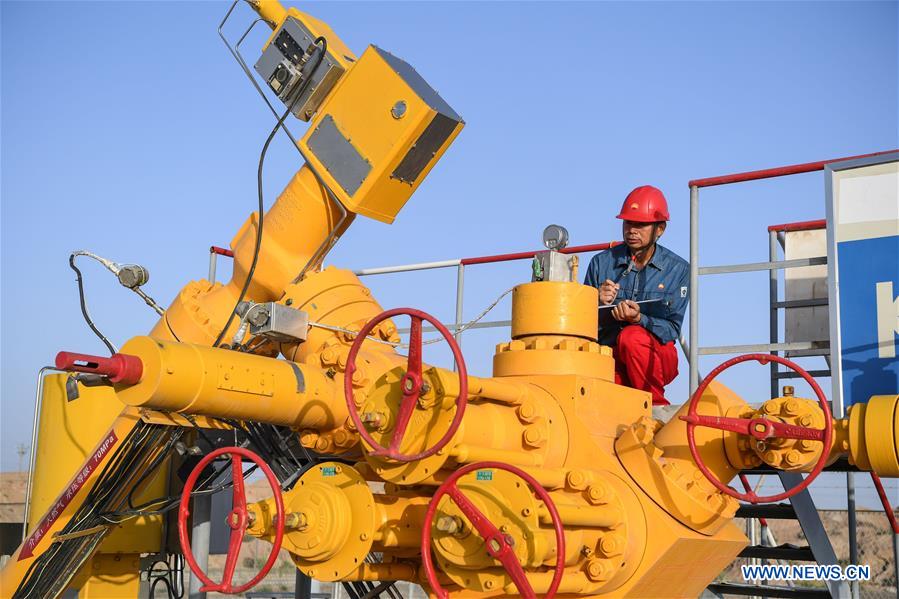 CHINA-ECONOMY-PETROLEUM AND CHEMICAL INDUSTRY-PROFIT (CN)