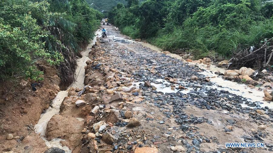 VIETNAM-TYPHOON USAGI-DAMAGES