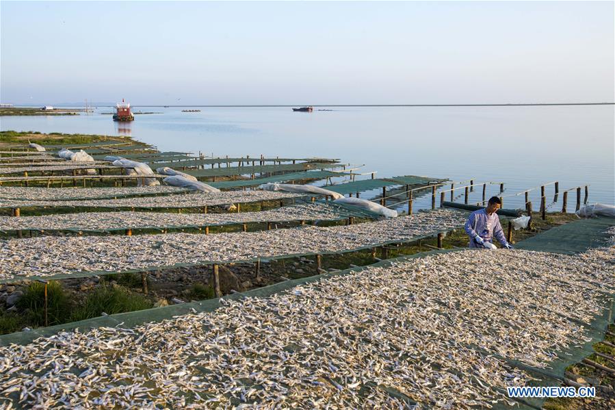 #CHINA-JIANGXI-FISHERY-PRODUCTION (CN)