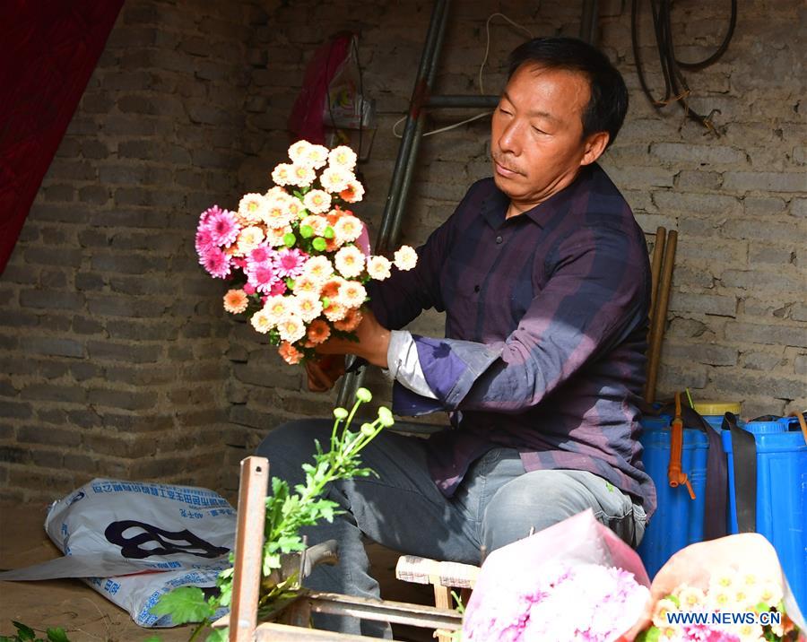CHINA-HENAN-FLOWER PLANTING-INCOME RAISE (CN)
