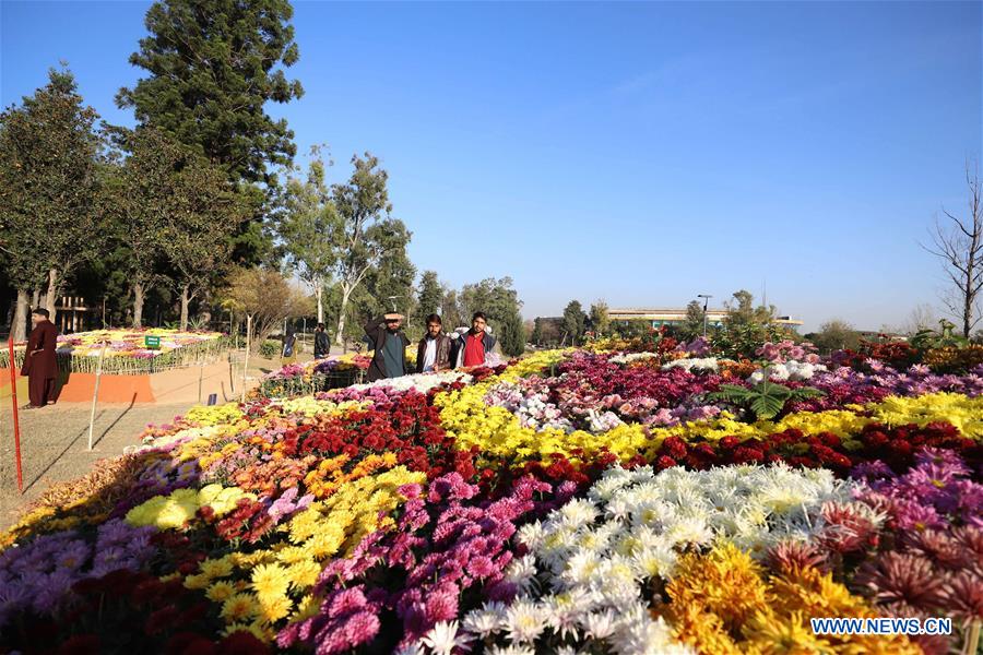 PAKISTAN-ISLAMABAD-AUTUMN FLOWER SHOW