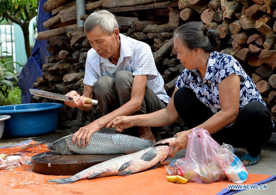 VIETNAM-HA NAM-TRADITIONAL BRAISED FISH