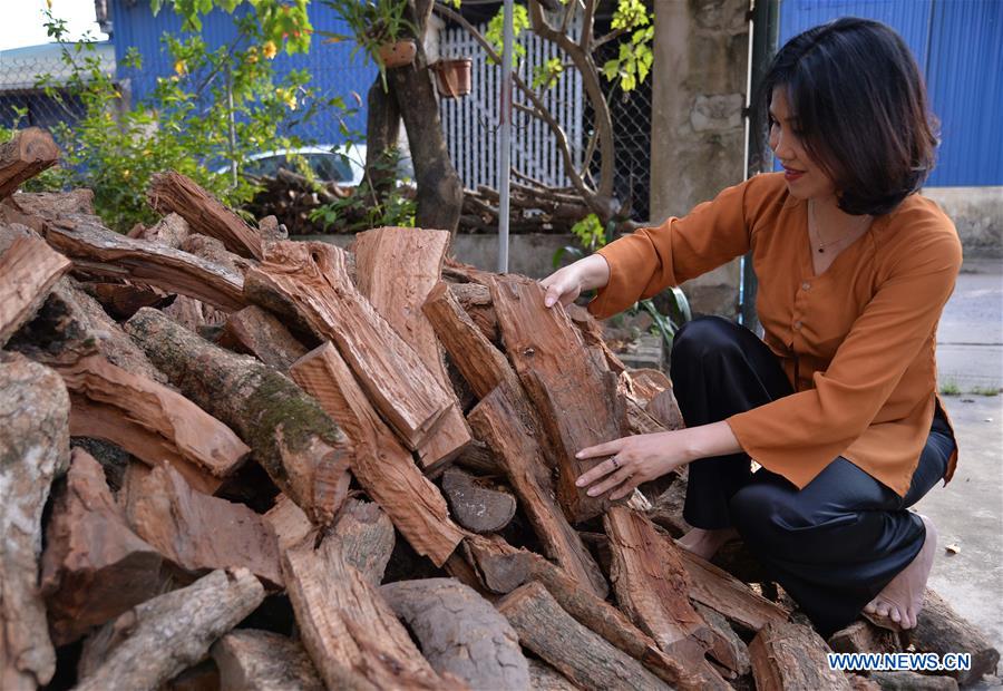 VIETNAM-HA NAM-TRADITIONAL BRAISED FISH