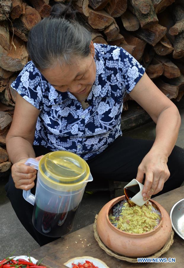 VIETNAM-HA NAM-TRADITIONAL BRAISED FISH