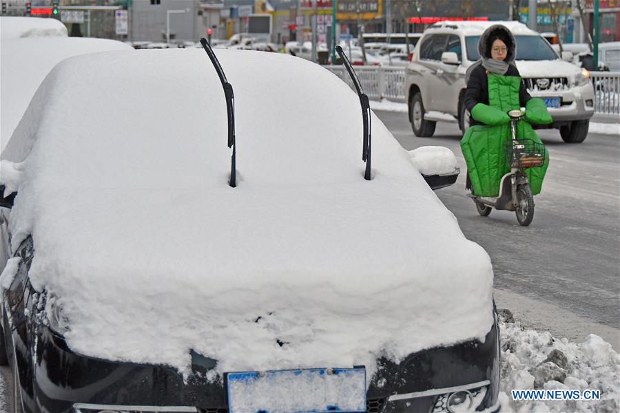 #CHINA-SHANDONG-SNOWFALL (CN)