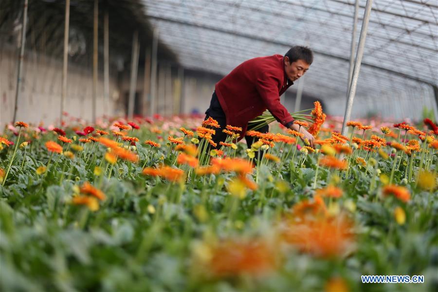 #CHINA-WINTER-AGRICULTURE (CN)