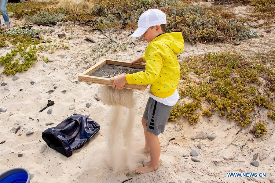 SOUTH AFRICA-CAPE TOWN-BEACH CLEANUP