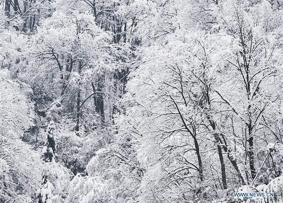 #CHINA-ANHUI-SNOW SCENERY (CN)  