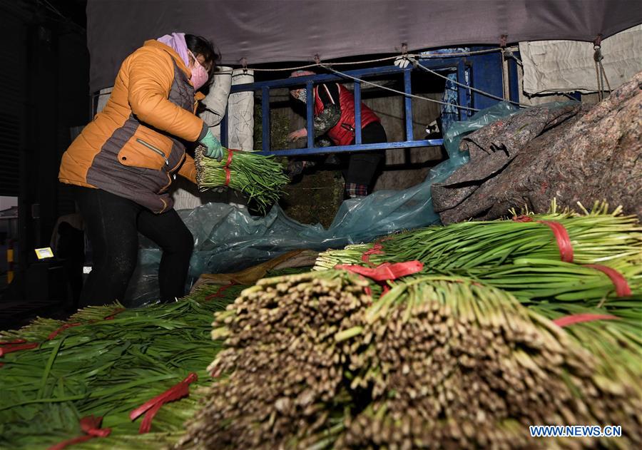 CHINA-HEBEI-VEGETABLES (CN)