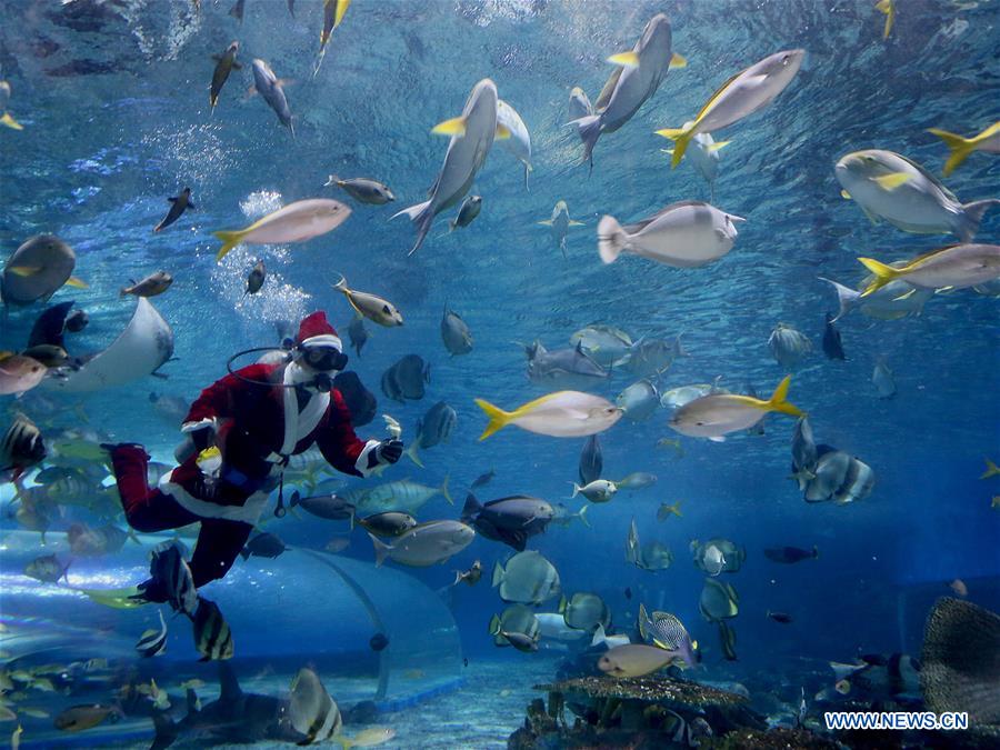 PHILIPPINES-MANILA-OCEAN PARK-UNDERWATER-SANTA CLAUS