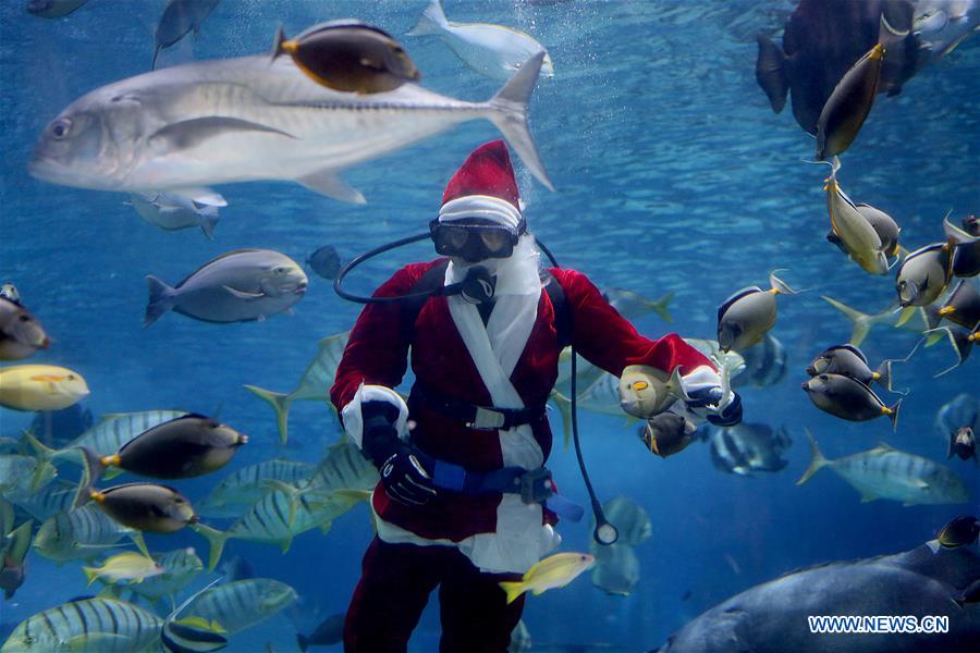 PHILIPPINES-MANILA-OCEAN PARK-UNDERWATER-SANTA CLAUS