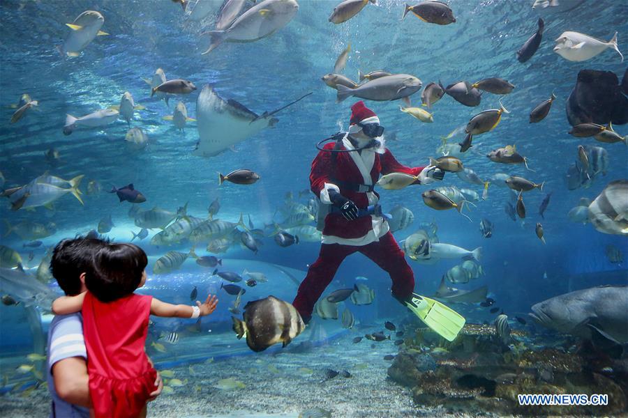 PHILIPPINES-MANILA-OCEAN PARK-UNDERWATER-SANTA CLAUS